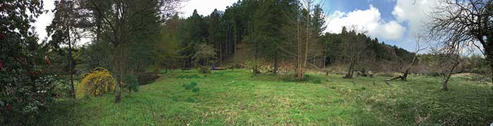 えんがわカフェ