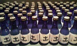 �����x��