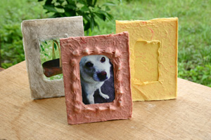 �a���ʐ^����