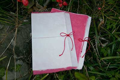 �Ԃ��J�[�h�z���_�[