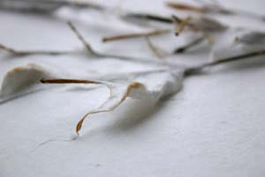 �}����������