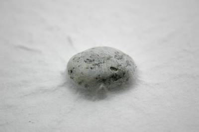 �΂���������